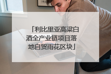 利比里亚高粱白酒全产业链项目落地自贸雨花区块